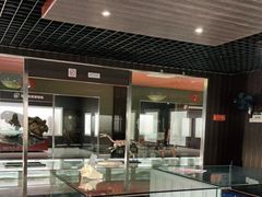 -青岛贝壳博物馆