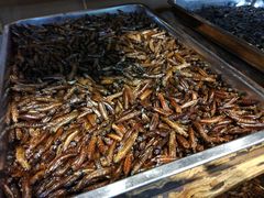 -昆虫窝子·特色云南菜(拓东路总店)