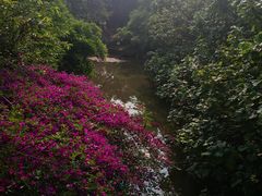 -白沙门生态公园