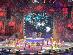 -广州长隆国际大马戏