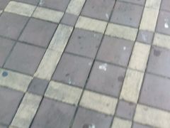 -深圳东部华侨城瀑布酒店