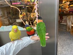 -吾叁·吉趣鸟咖(万科店)
