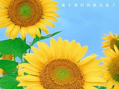 -二沙岛艺术公园