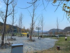 -千年银杏谷文化旅游区