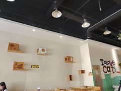 -藏猫猫咖啡主题馆(中央大道店)