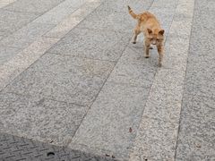 -五台山游泳馆