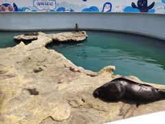 -秦皇岛乐岛海洋王国