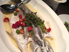 -海派悦庭·海胆烧麦·新融合菜(凯德广场店)