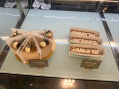 -gaga(深圳福田星河COCO Park店)