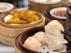 虾饺-华峰食馆(氹仔店)