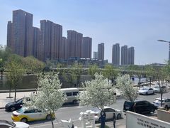 -青梅酒肆PLUS(长白仙岛北路店)