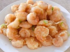 清炒虾仁-鑫来子菜馆