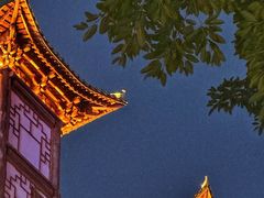 -大佛古寺