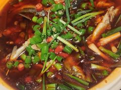 -樽宴酒楼·地道川菜·品质宴请
