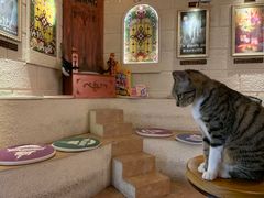 -逃脱反斗城沉浸剧情密室(北京路店)