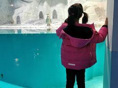 -蓬莱欧乐堡海洋极地世界