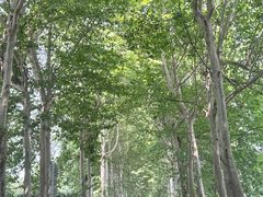 -崇州九龙峡漂流
