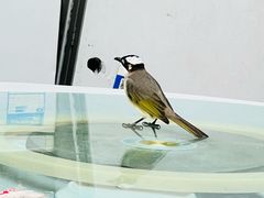 -张记焖窑·十五年专注焖烤(雍和宫店)