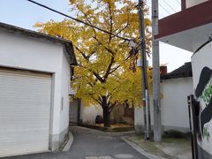 -雨花胜境