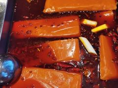-红鼎坊·老成都火锅(新南门店)