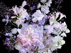 -Flower in(密渡桥店)