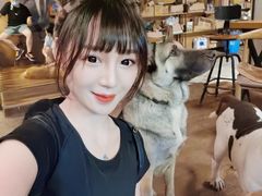 -萌喵咖啡屋(人民东路4号口M16商铺店)