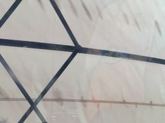-福耀汽车玻璃(浦东店)