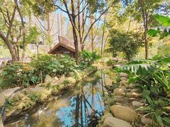 -成都市活水公园