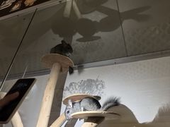 -宁波九龙湖开元度假村