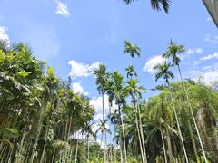 -中国科学院西双版纳热带植物园
