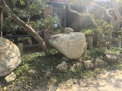 -罗浮山·罗园农庄