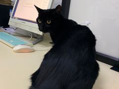 -全心全意连锁动物医院(加州店)