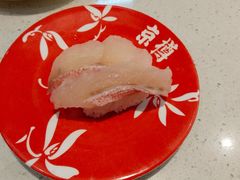 -京樽回転寿司(奥林匹克店)