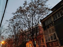 -顺昌路550弄小区