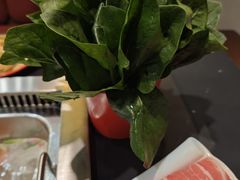 -晓林火锅(安定门店)