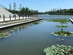 -航海博物馆餐厅