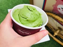 -哈根达斯(陆家浜路店)