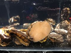 -日丰园海肠水饺·老字号大连海鲜(和平广场店)