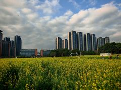 -光明小镇欢乐田园
