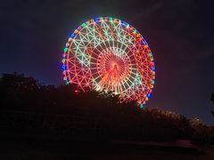 -凤岭儿童公园