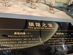 -大庆市博物馆