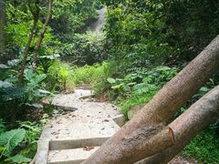 -火炉山森林公园