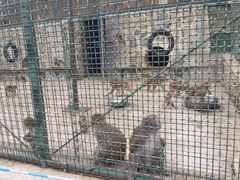 -南京金牛湖风景区