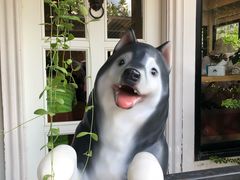-TrueLove @ Neverland (Husky Cafe)