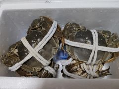 -黄记大闸蟹专卖店·活蟹·醉蟹