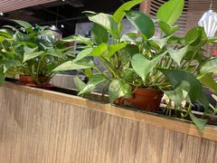 -避风塘(百联东郊店)