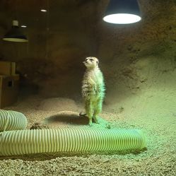 -酷嗒动物文化乐园(cutezoo西溪乐天城店)