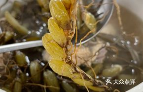 Green Olive Stewed Old Chicken