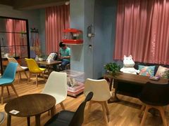 -藦茜花园宠物主题亲子互动体验馆(国顺东路店)