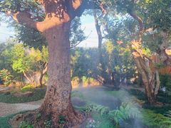 -Chom Cafe and Restaurant